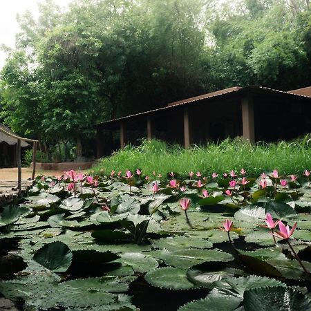 Hampi'S Whiskers Resort מראה חיצוני תמונה
